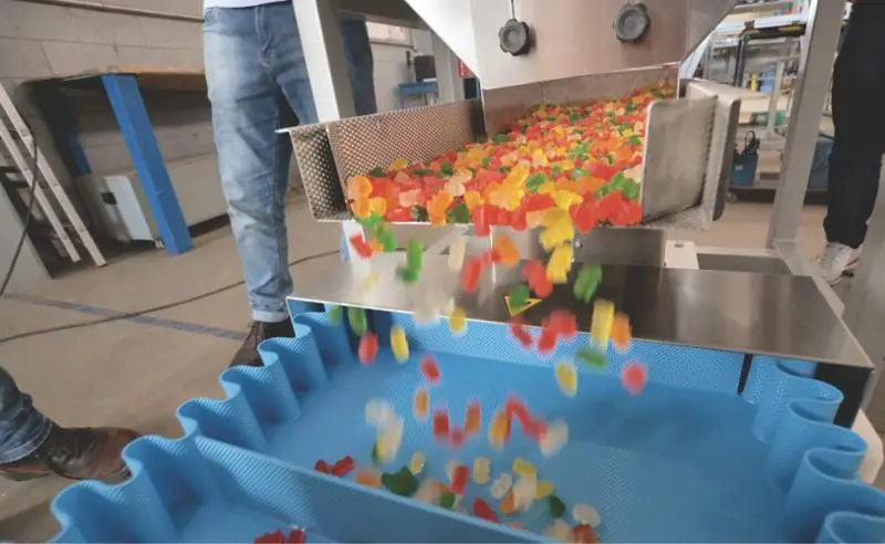 Transportadores para Bakery e Confeitaria