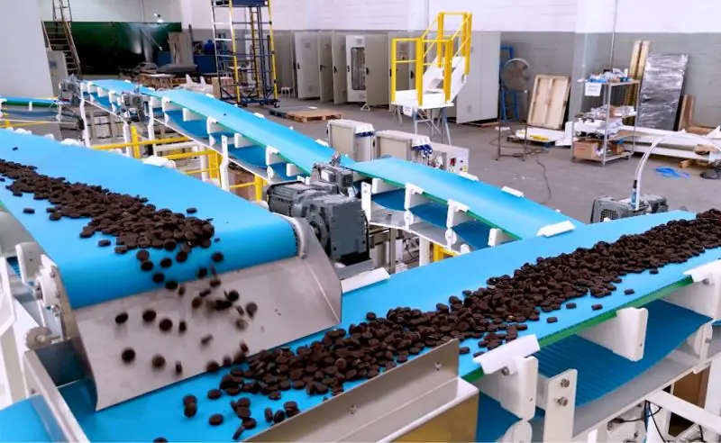 Transportadores para Candies e Snacks